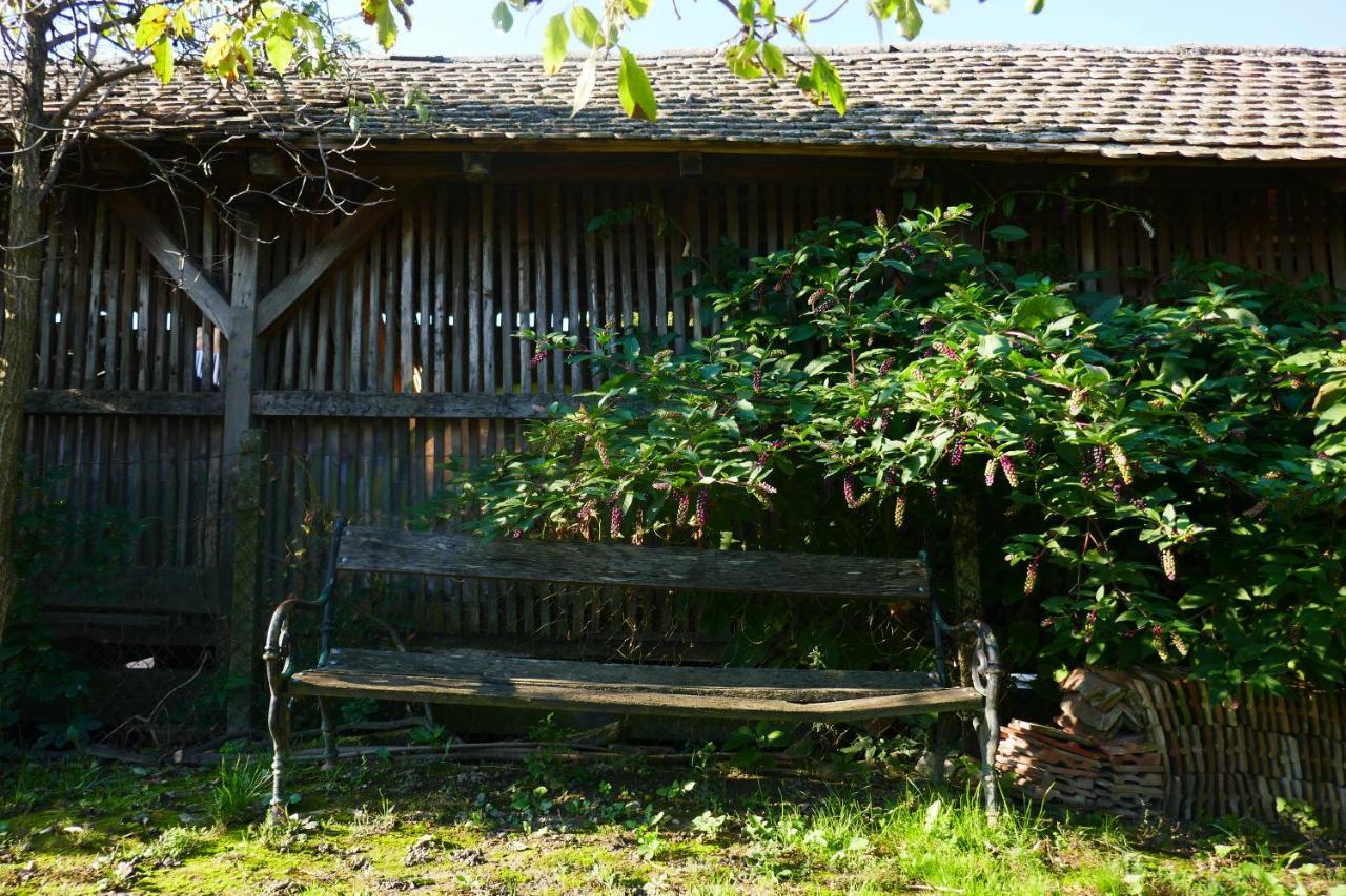 Ferienwohnung House Of Lovra Kneževi Vinogradi Exterior foto